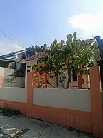 Rumah Terawat 1 Lantai - Ada Taman Tampan Pekanbaru